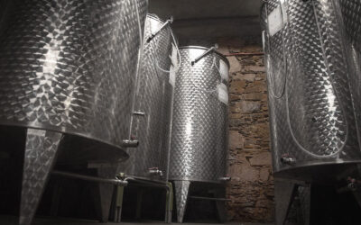 azienda meana 5