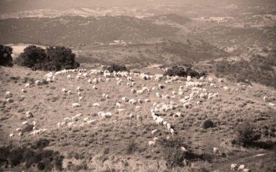 territorio meana 2